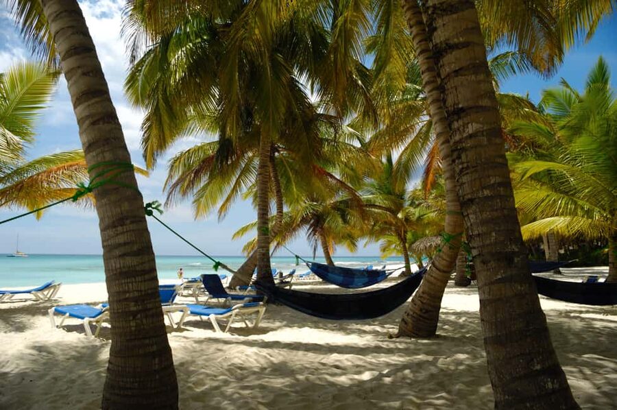 From Punta Cana: Catamaran Tour to Saona Island with Open Bar and Buffet - Is the $81 price good value?