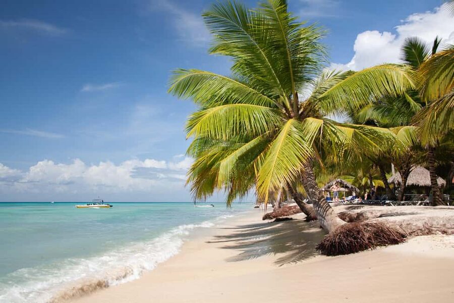 From Punta Cana: Catamaran Tour to Saona Island with Open Bar and Buffet - The morning transfer from Punta Cana to Bayahibe