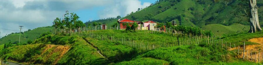 From Punta Cana: Higüey Guided Safari Tour - Starting in Higüey at the Basilica of Our Lady of Altagracia