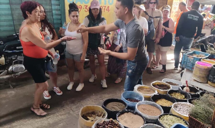 From Punta Cana: History and Culture Tour with River Swim - A Dominican countryside farm with coffee and cocoa