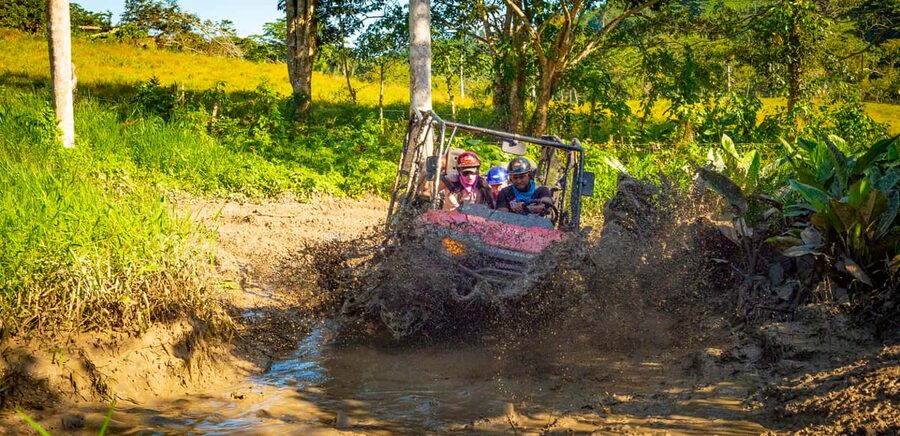From Punta Cana: Jungle Buggy Adventure to Anamuya River - The jungle trail and its driving rhythm