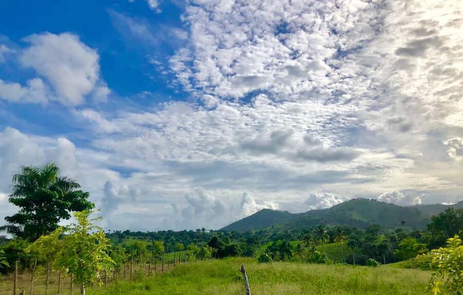 From Punta Cana: Jungle Buggy Adventure to Anamuya River - Who will enjoy this half-day outing