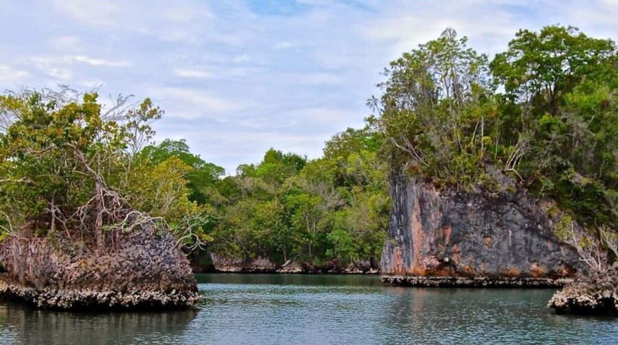 From Punta Cana: Los Haitises Guided Day Tour - Who will enjoy this day most