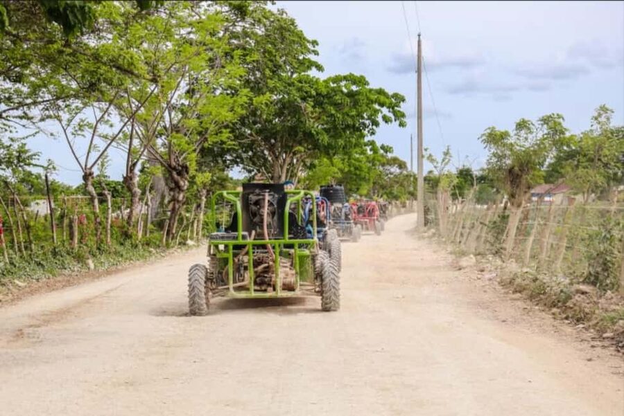 From Punta Cana or La Romana: Sugarcane Fields Buggy or Quad - Key Points Before You Book