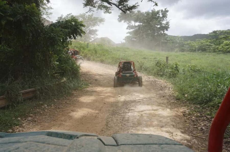 From Punta Cana or La Romana: Sugarcane Fields Buggy or Quad - Leaving the Resort Behind