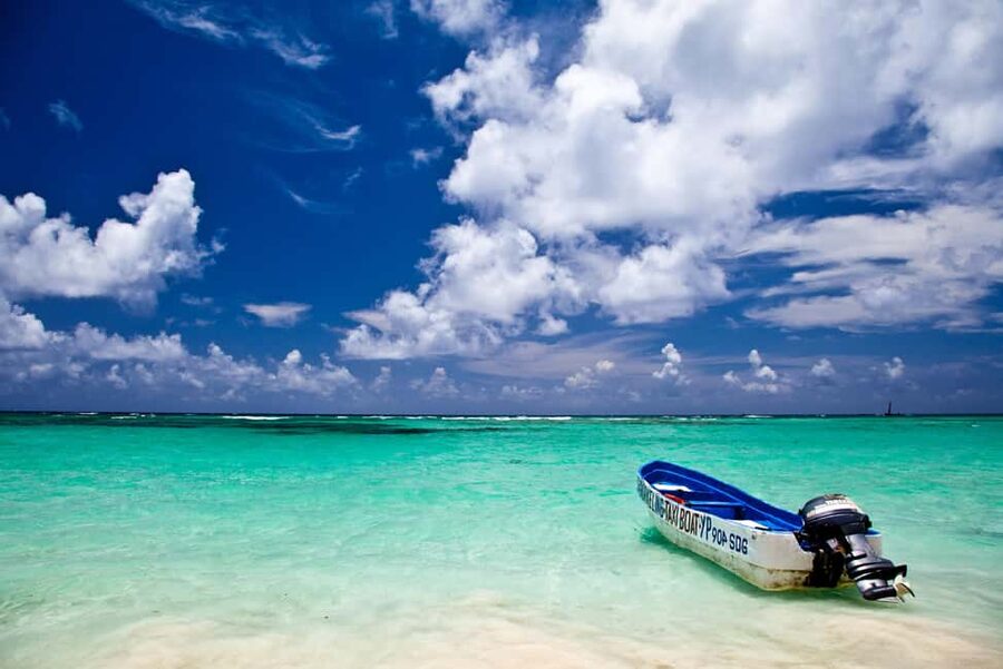 From Punta Cana: Samana and Bacardi Island Cruise and Tour - Whale watching from January through March