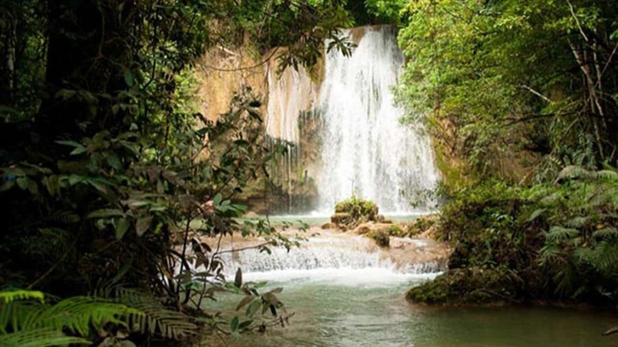 From Punta Cana: Samana and Bacardi Island Cruise and Tour - Who should book this day trip