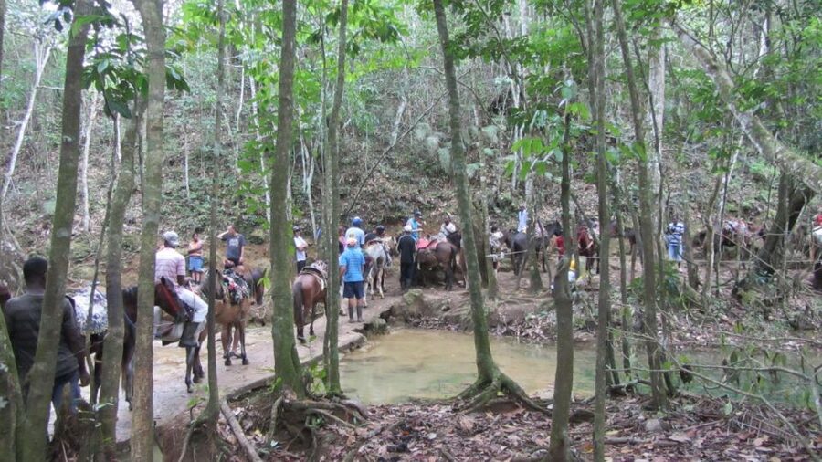 From Punta Cana: Samaná, Cayo Levantado & El Limón Waterfall - Is this Samaná tour worth booking?