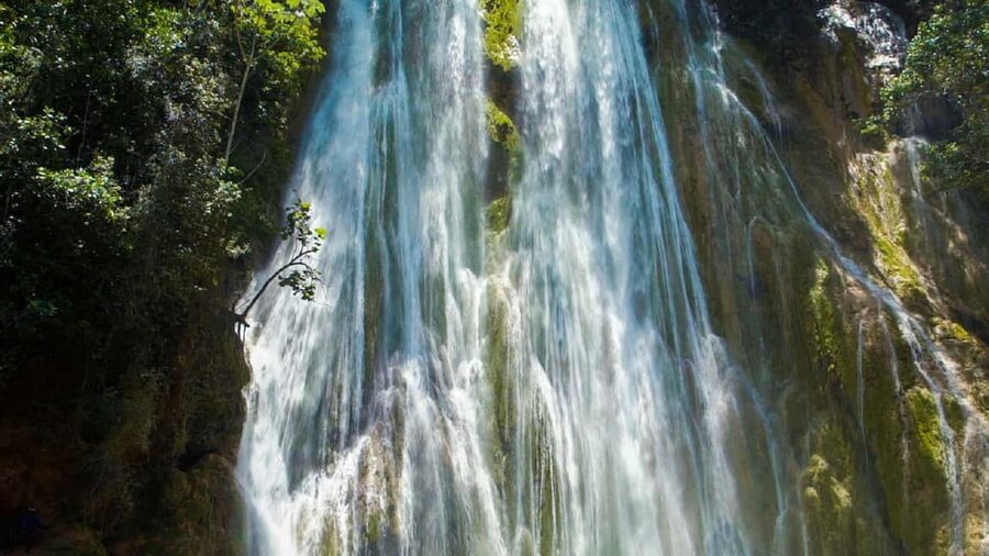 From Punta Cana: Samana Full Day Trip by Bus and Boat - The plantation home and fresh fruit stop