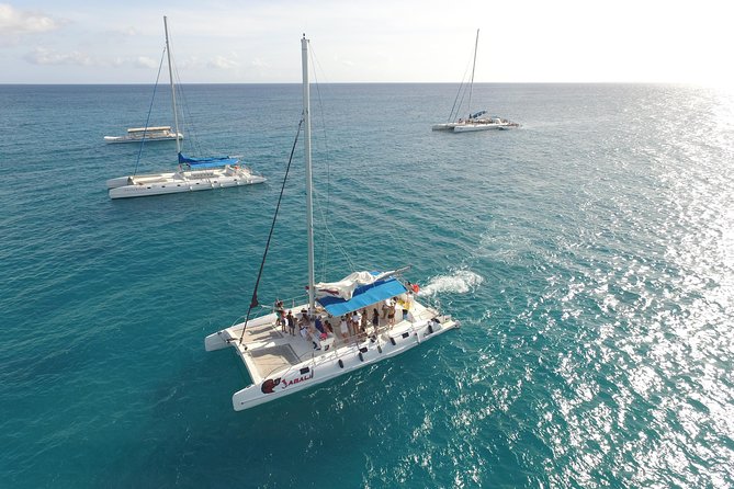 From Punta Cana: Saona Island & Altos de Chavon Day Trip with Lunch and Open Bar - Guides, music, and the human side of the tour
