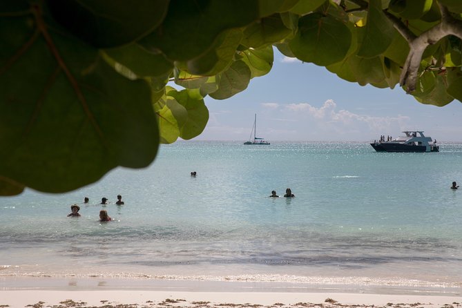 From Punta Cana: Saona Island & Altos de Chavon Day Trip with Lunch and Open Bar - Transport from Punta Cana and the long clock
