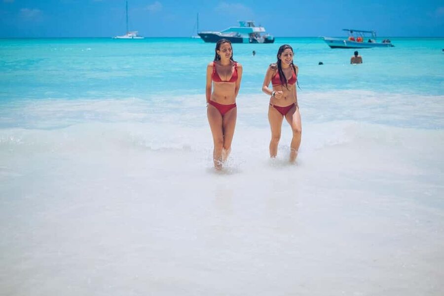 From Punta Cana: Saona Island Day Trip with Buffet Lunch - What the $65 price really covers