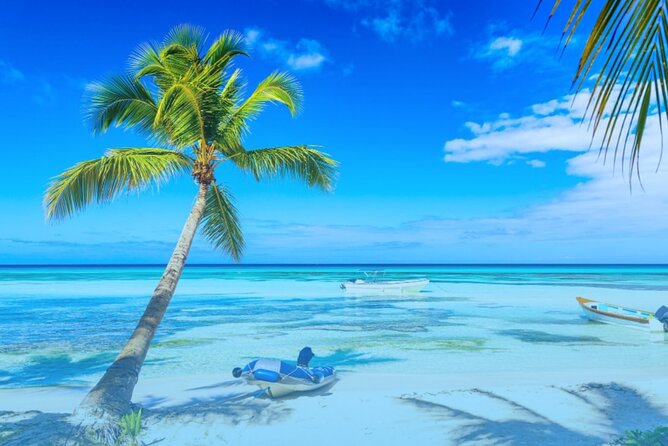 From Punta Cana: Saona Island Full Day For Small Group Catamaran - The natural pool stop and starfish search