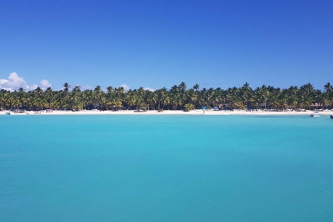 From Punta Cana: Saona Island Full Day For Small Group Catamaran - Three hours on Saona Island