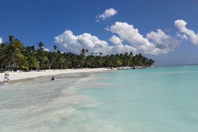 From Punta Cana: Saona Island Full Day For Small Group Catamaran - Buffet lunch and the open bar