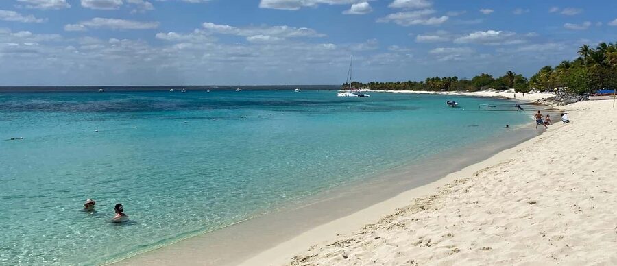From Punta Cana: Saona Island Full-Day Tour with Lunch - Why Saona makes a strong day trip from Punta Cana