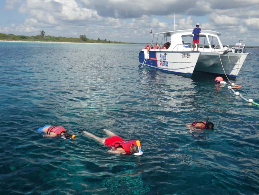 From Punta Cana: Saona Island Full-Day Tour with Lunch - Speedboat first, catamaran later