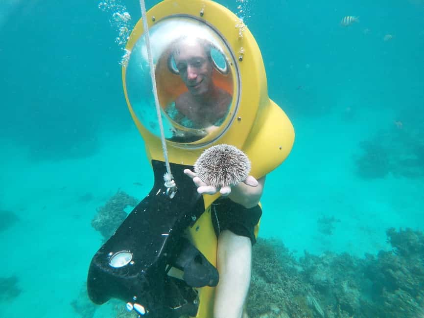 From Punta Cana: ScubaDoo, Snorkel & Glass Bottom Boat Tour - Who will enjoy this outing most?