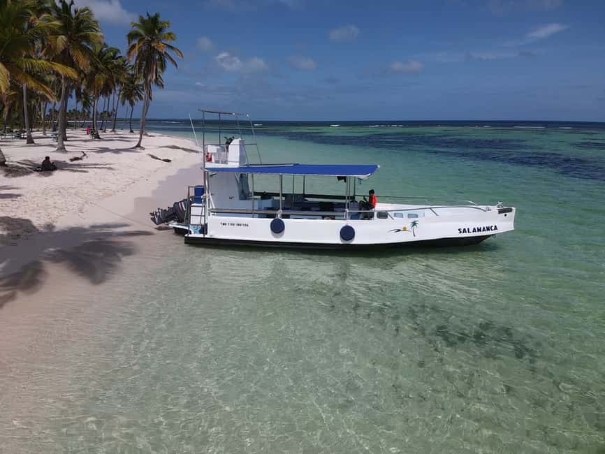 From Punta Cana: Small Group Catalina Island Snorkeling Tour - Who should book this tour