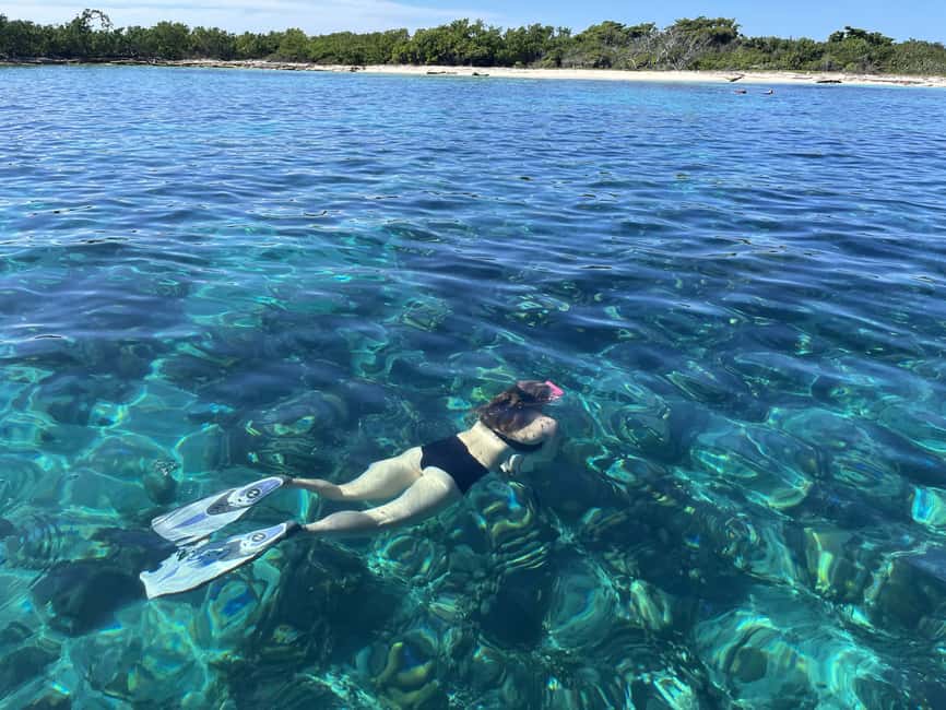 From Punta Cana: Small Group Catalina Island Snorkeling Tour - The Aquarium and the boat jump