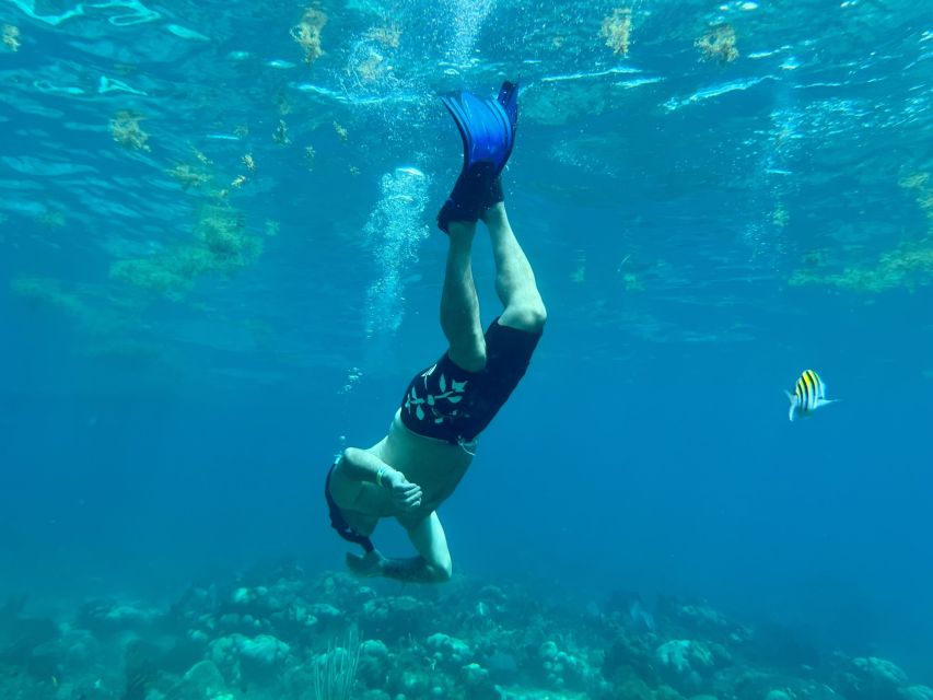 From Punta Cana: Small Group Catalina Island Snorkeling Tour - Guides, languages, and the feel onboard