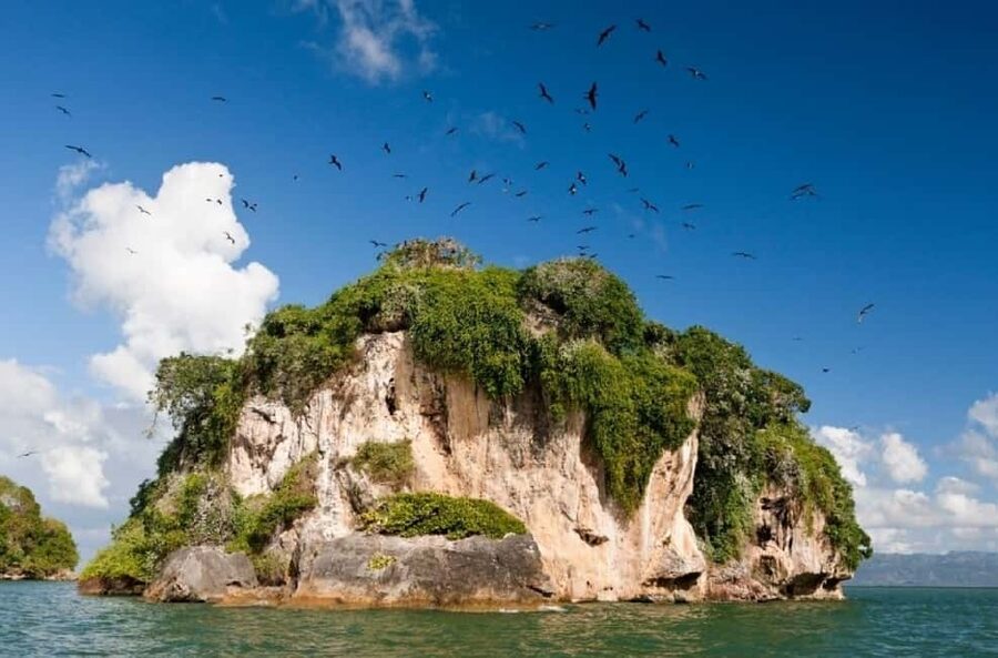 From Samana: Los Haitises Boat and Walking Tour with Lunch - Starting from Samaná port