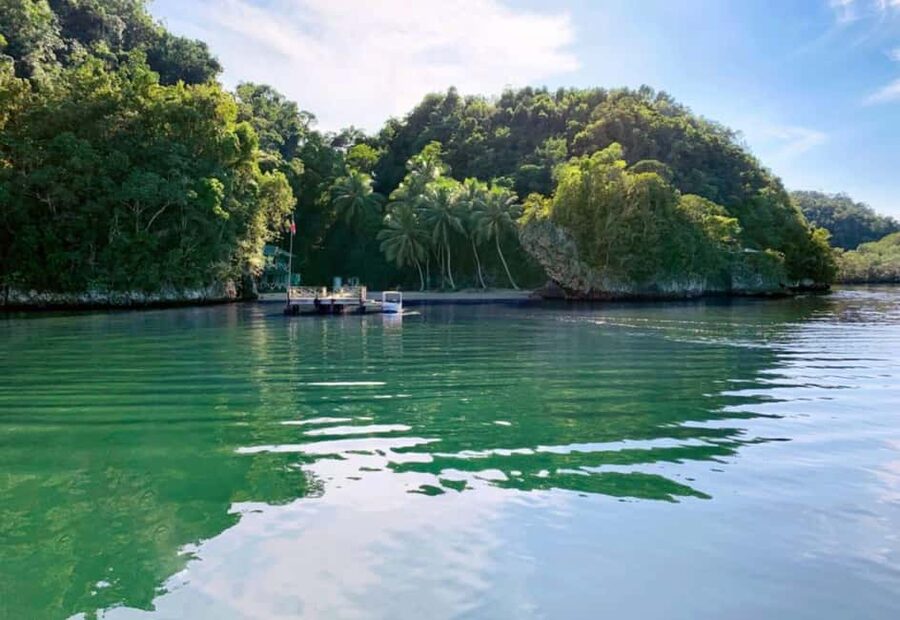 From Samana: Los Haitises Boat and Walking Tour with Lunch - Should you book the Los Haitises and Cayo Levantado tour?