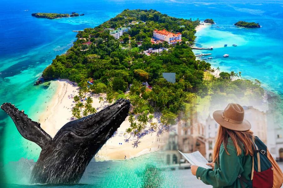 From Samaná: Whale Watching and Cayo Levantado Island Tour - Who will enjoy this day most