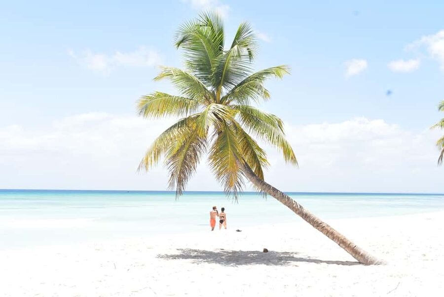 From Santo Domingo - Punta Cana: SAONA ISLAND Food & Drinks - Key points to know before booking