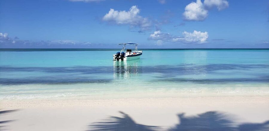 From Santo Domingo - Punta Cana: SAONA ISLAND Food & Drinks - Why Saona Island makes a strong day trip