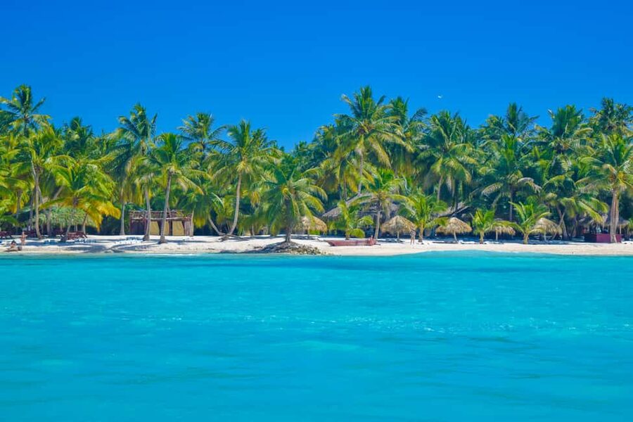 From Santo Domingo: Saona Island Day Trip w/ Lunch & Drinks - Guides, language, and the meeting routine