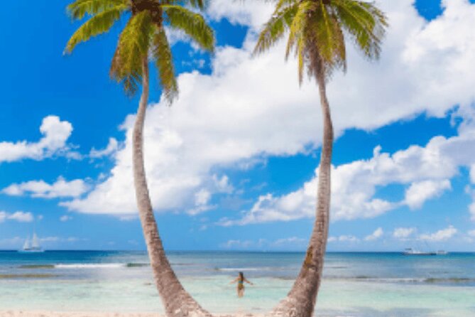 From Santo Domingo Saona Island Food And Drink Catamaran Vip - Is The VIP Name Accurate?