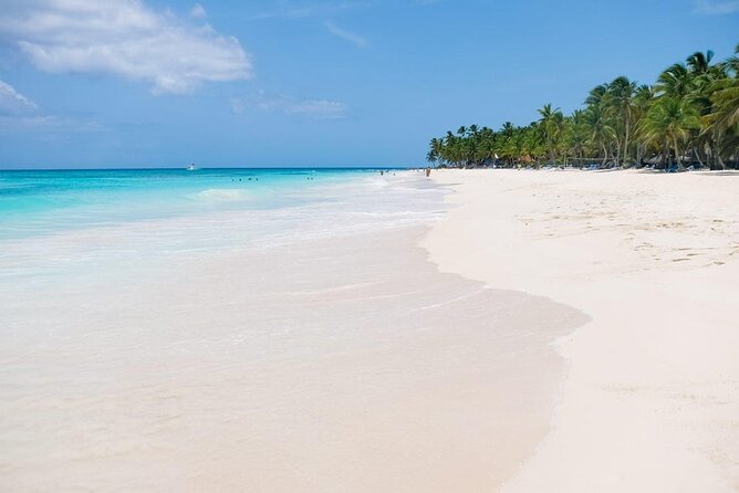 From Santo Domingo: Saona Island For Small Group Catamaran - Lunch at Palmera Turístico beach at 1 p.m.
