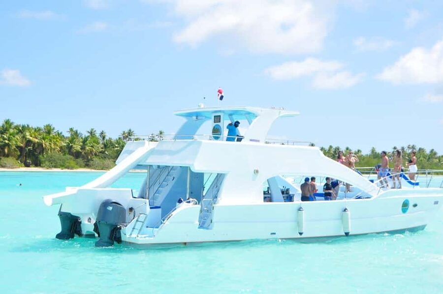 From Santo Domingo: Whale Watching & Cayo Levantado - Watching humpback whales from the boat