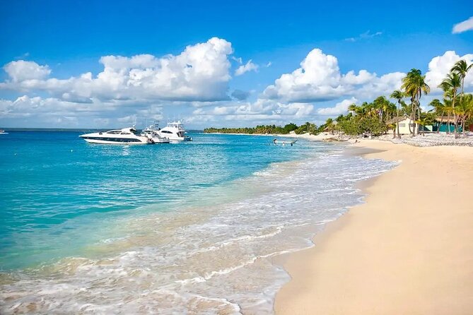 Full-day at Catalina Island from Santo Domingo with optional snorkeling included - The real shape of the day from Santo Domingo