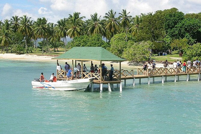 Full Day Bacardi Whale Watching - End Season March 30th - Best fit for families, couples, and first-time visitors