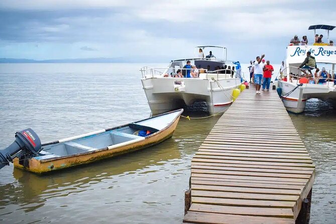 Full Day Bacardi Whale Watching - End Season March 30th - Booking before the season closes
