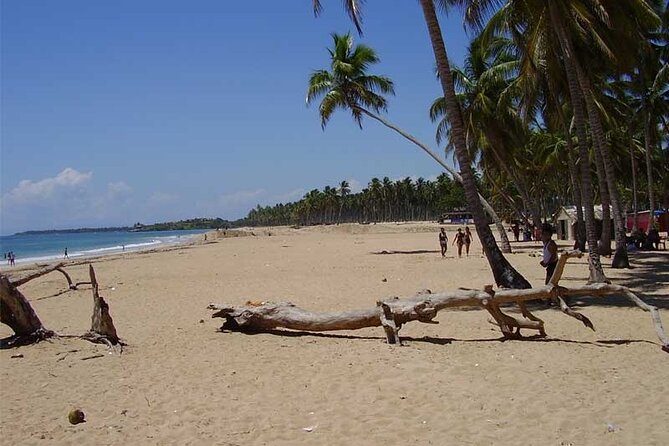 Full-Day Blue Lagoon Tour in Dominican Republic - Why the Blue Lagoon makes this a worthwhile day