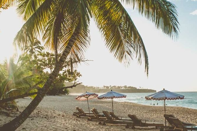 Full-Day Blue Lagoon Tour in Dominican Republic - Weather, timing, and cancellation details