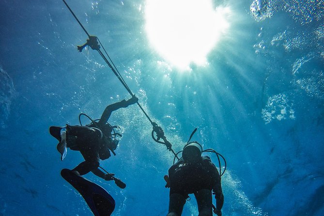 Full-Day Catalina Island Scuba Diving Tour from La Romana - Catalina Island beach time and the BBQ lunch