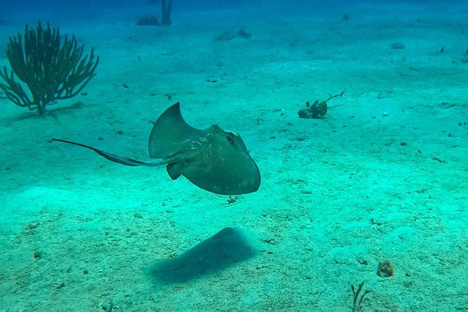 Full-Day Catalina Island Scuba Diving Tour from La Romana - The catamaran ride and return to La Romana