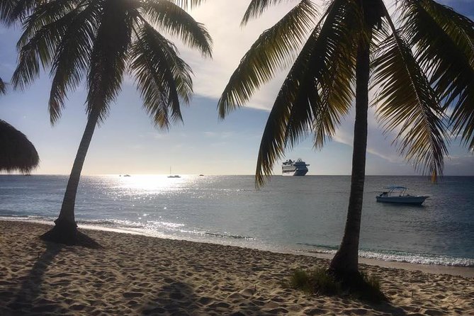 Full-Day Catalina Island Scuba Diving Tour from La Romana - Who should book this Catalina Island trip?