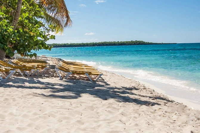 Full-Day Catalina Island Scuba Diving Tour from La Romana - The Aquarium: calmer water and tropical fish