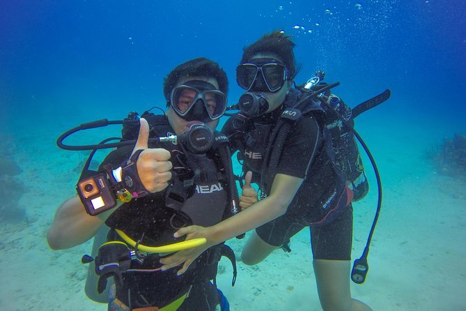 Full-Day Catalina Island Scuba Diving Tour from Punta Cana - Getting from Punta Cana to the marina