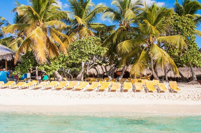 Full-Day Catalina Island Scuba Diving Tour from Punta Cana - The Aquarium: shallower reef viewing