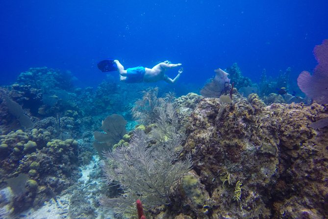 Full-Day Catalina Island Snorkeling Tour from Bavaro - What the $72 price really includes
