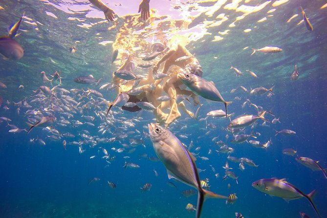 Full-Day Catalina Island Snorkeling Tour from Bavaro - What to pack for nine hours outside