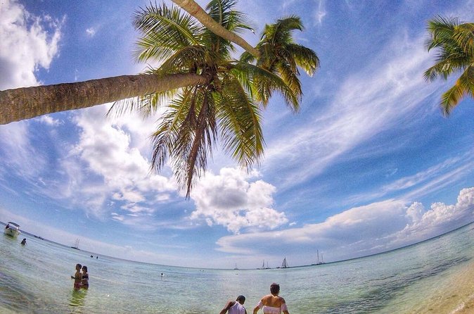 Full-Day Cruise of Isla Saona from Santo Domingo with Lunch - Is $99.95 a fair price?