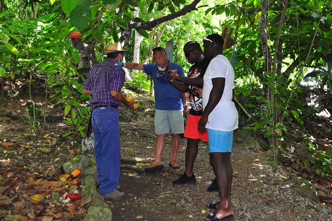 Full Day Eco Safari Adventure and Cultural Tour - Finishing at Macao Beach
