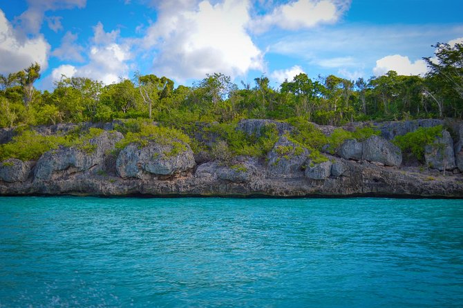 Full-Day Excursion in Saona Island - The catamaran return is a floating party